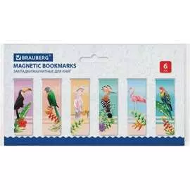 Набор магнитных закладок для книг BRAUBERG MIX 113175