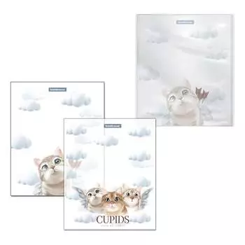 Набор пластиковых обложек ErichKrause