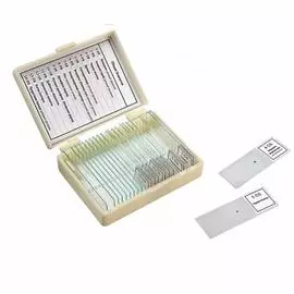 Набор препаратов Микромед Общая биология 22753