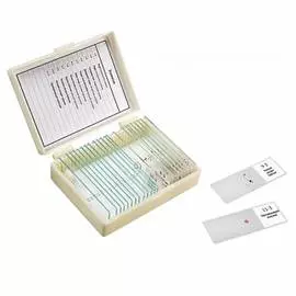 Набор препаратов Микромед Зоология 22749