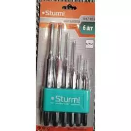 Набор выколоток Sturm 1017-05-6