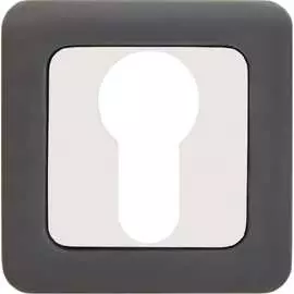 Накладка для цилиндрового механизма Аллюр MBN/CP4242 11452