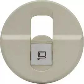 Накладка для одинарной компьютерной розетки Legrand Celiane 66235