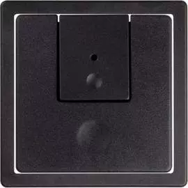 Накладка для проходного выключателя Simon S82 82N, S82 Detail 82007-38