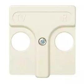 Накладка на R-TV-розетку Simon