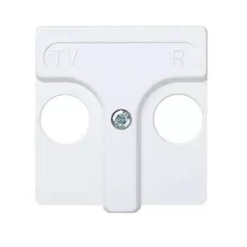 Накладка на R-TV-розетку Simon 27053-34