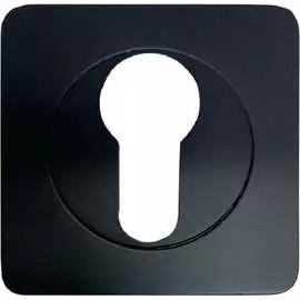 Накладка под цилиндр Вантаж ET02BL-2