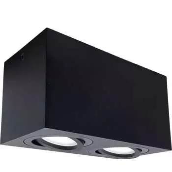 Накладной двойной поворотный светильник truEnergy 21343