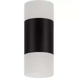 Накладной потолочный светильник RITTER RCS-65LED10W-WH 52064 1