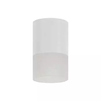 Накладной потолочный светильник RITTER RCS-80MR16-WH 52061 0