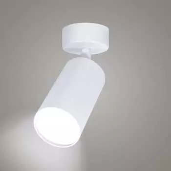 Накладной поворотный светильник RITTER