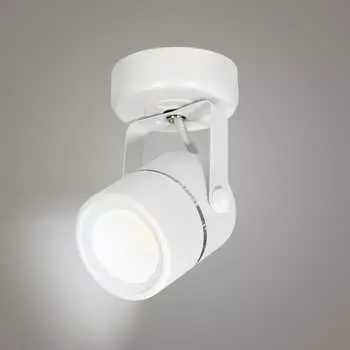 Накладной поворотный светильник RITTER