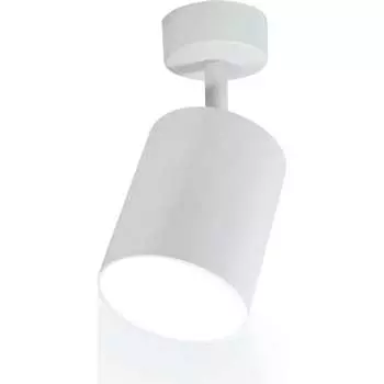 Накладной поворотный светильник RITTER