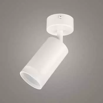 Накладной поворотный светильник RITTER Arton 59970 8