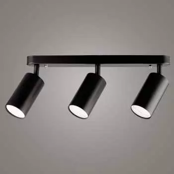 Накладной поворотный светильник RITTER