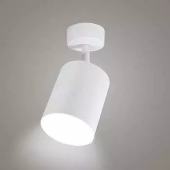 Накладной поворотный светильник RITTER