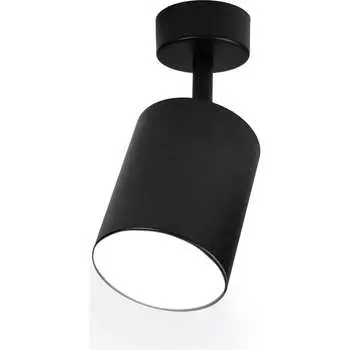 Накладной поворотный светильник RITTER