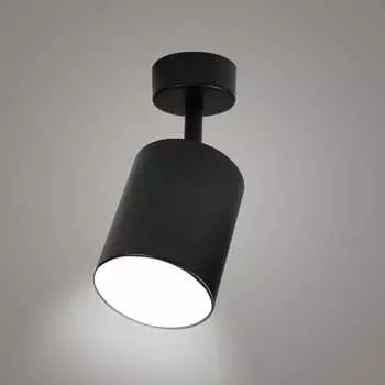 Накладной поворотный светильник RITTER