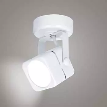 Накладной поворотный светильник RITTER