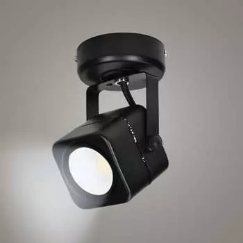 Накладной поворотный светильник RITTER Arton 59961 6