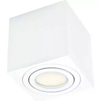 Накладной поворотный светильник truEnergy 21340