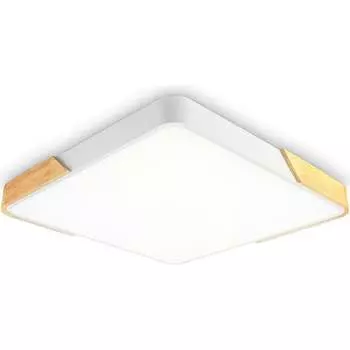 Накладной светильник Ambrella Light ORBITAL FZ1312