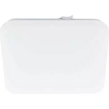 Накладной светильник EGLO FRANIA 97876