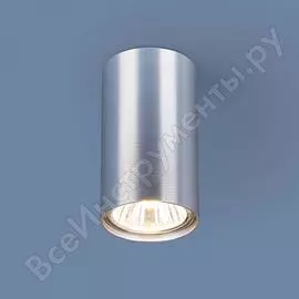 Накладной светильник Elektrostandard 1081 a038491