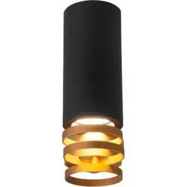 Накладной светильник Elektrostandard DLN102 a047747