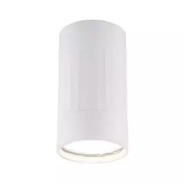 Накладной светильник Elektrostandard