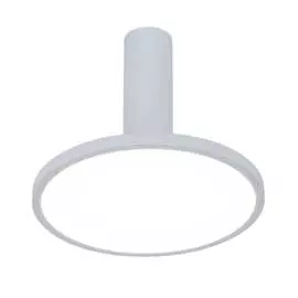 Накладной светильник Elektrostandard DLS029 a047771