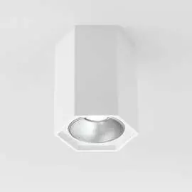 Накладной светильник Elektrostandard 25036 a055856