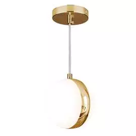 Накладной светильник Elektrostandard DLN050 a047809