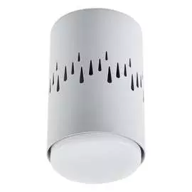 Накладной светильник FERON