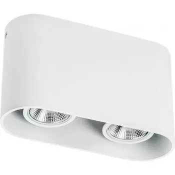 Накладной светильник Lightstar 214866