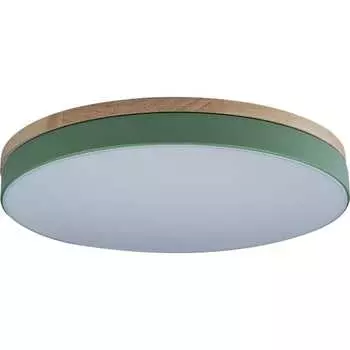 Накладной светильник LOFT IT Axel 10001/36 Green