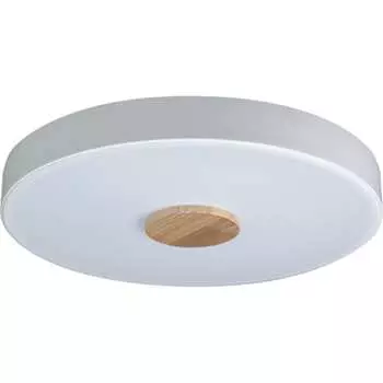 Накладной светильник LOFT IT Axel 2 10003/24 White