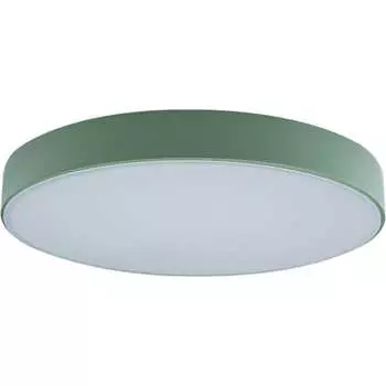 Накладной светильник LOFT IT Axel 1 10002/24 Green