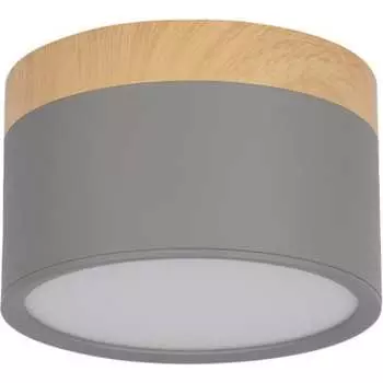 Накладной светильник LOFT IT Grape 10162 Grey
