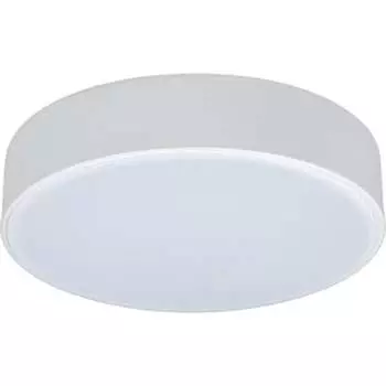 Накладной светильник LOFT IT Axel 1 10002/12 White