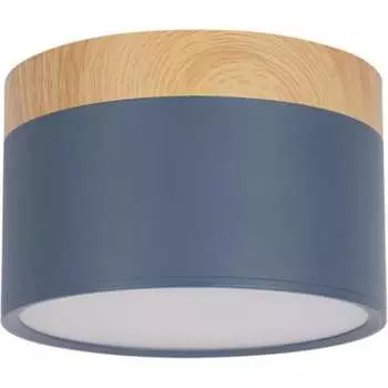 Накладной светильник LOFT IT Grape 10162 Blue