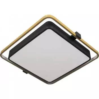 Накладной светильник LOFT IT Mike 10172