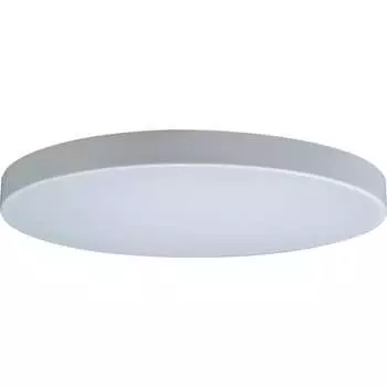 Накладной светильник LOFT IT Axel 1 10002/48 White