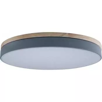 Накладной светильник LOFT IT Axel 10001/36 Grey