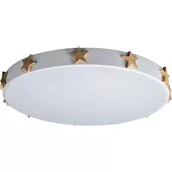 Накладной светильник LOFT IT Axel 5 10006/36 White