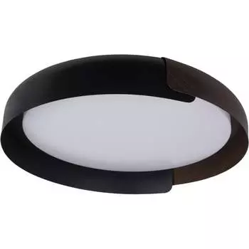 Накладной светильник LOFT IT Coin 10198 Black