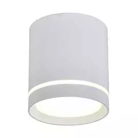 Накладной светильник Omnilux