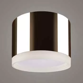 Накладной светильник RITTER Arton 59949 4