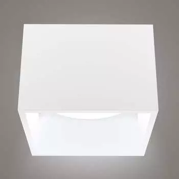 Накладной светильник RITTER