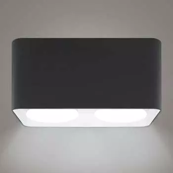 Накладной светильник RITTER